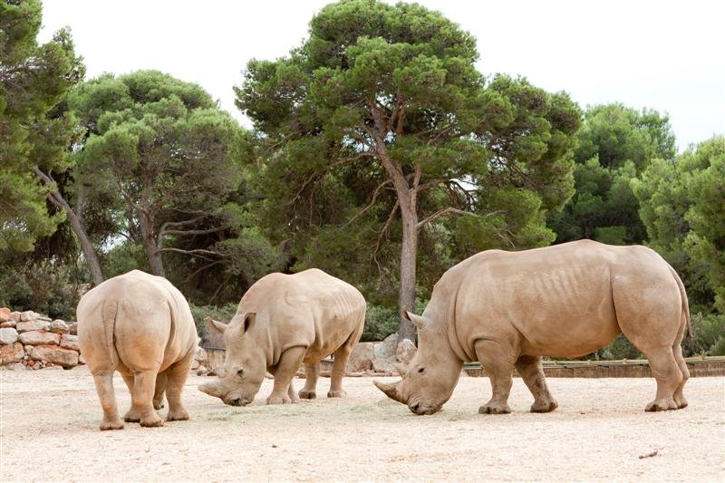 Zoo de la Barben (DR)