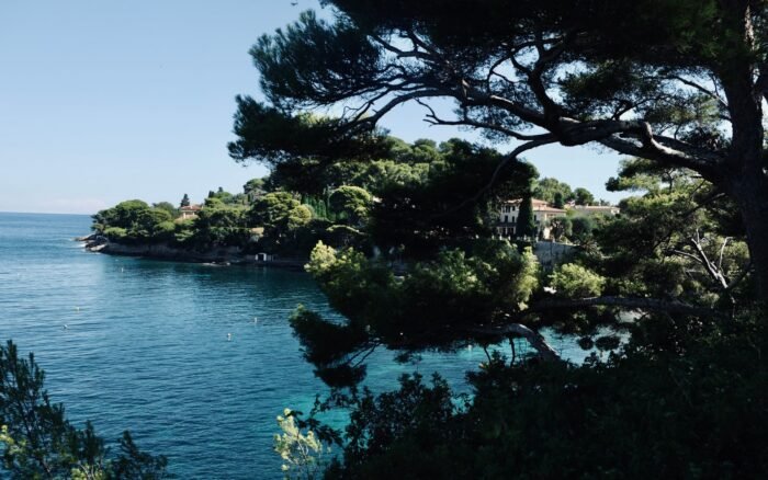 Comparaison des ferry qui relient Cannes à Sainte-Marguerite