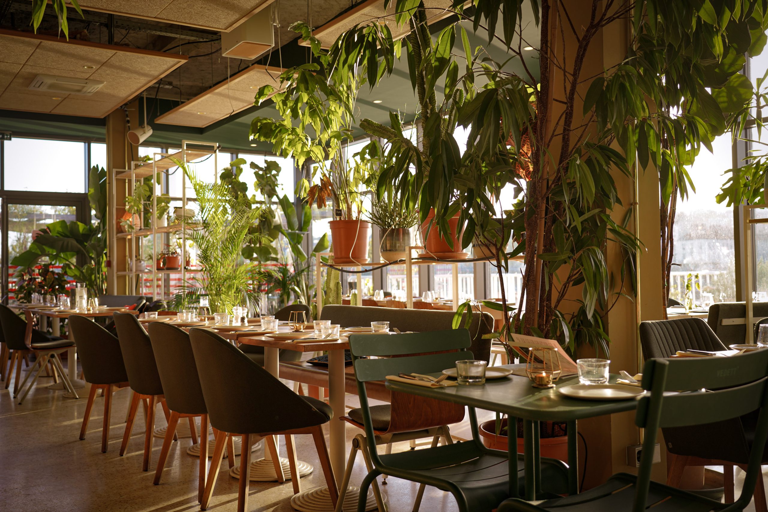 Botani Café