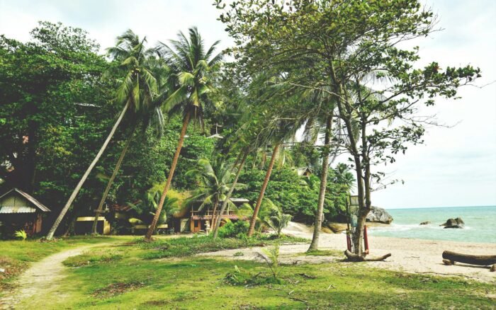 Comparaison des ferry qui relient Koh Samui à Koh Phangan