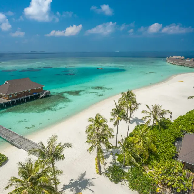 Vietnam en février, Antilles en janvier : où partir loin au soleil