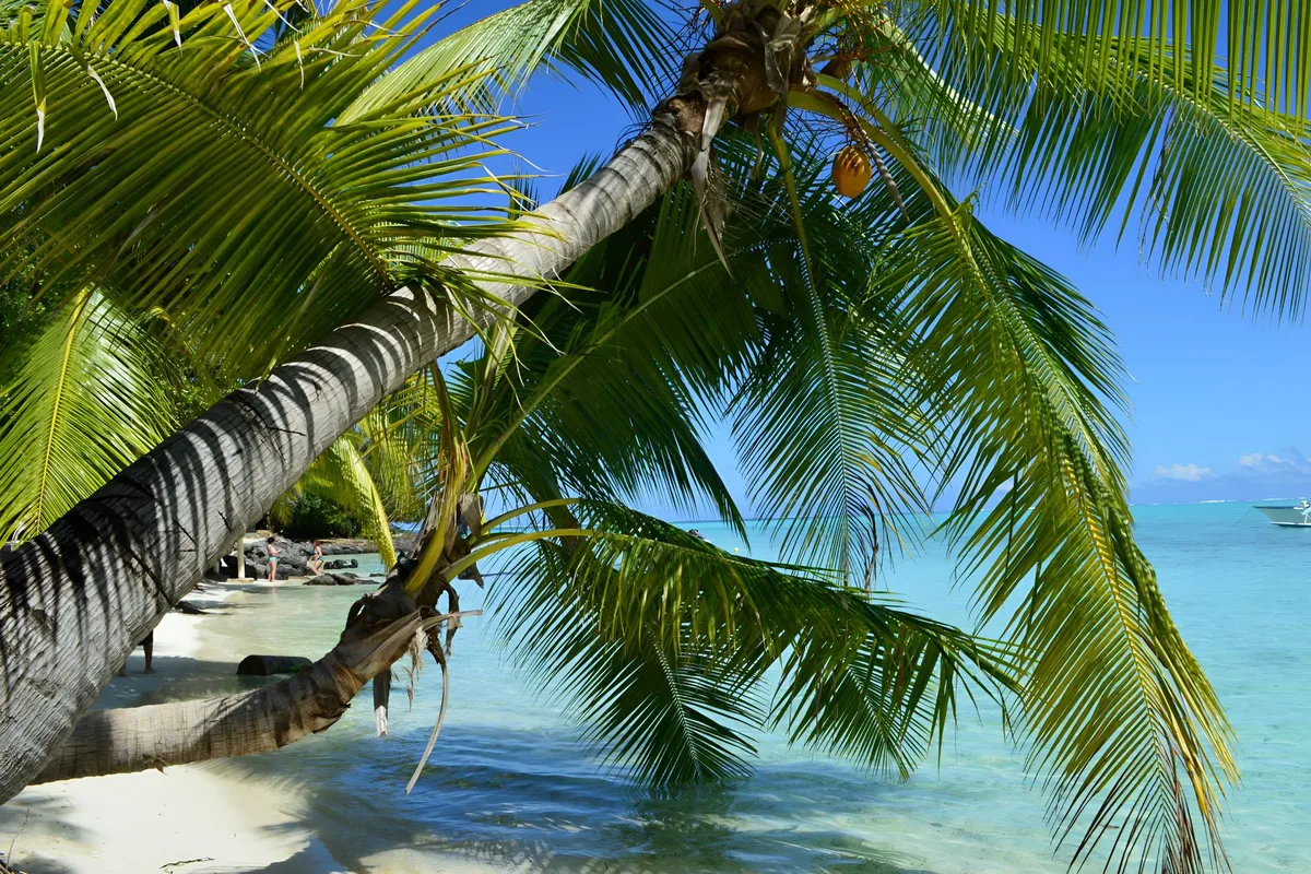 Voyage à Tahiti : 7 expériences authentiques pour vivre la Polynésie autrement