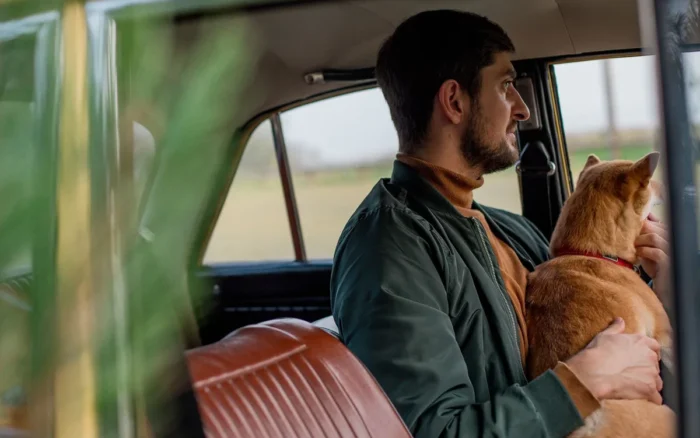 Voyager avec son animal ou le faire garder : le guide pour bien choisir