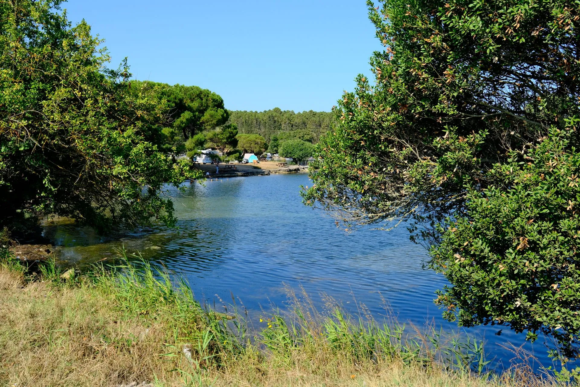 Camping au bord d'un lac, entouré de verdure