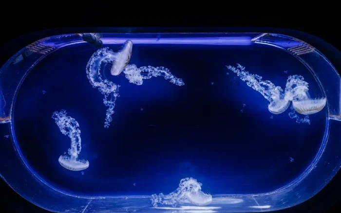 Aquarium de Lyon : avis, tarifs et conseils de visite