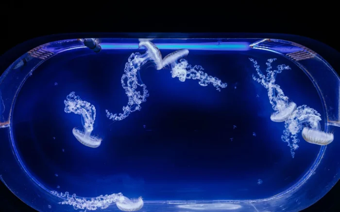 Aquarium de Paris : avis, tarifs et durée de visite