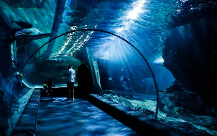 Aquarium de La Rochelle : avis, tarifs et conseils de visite