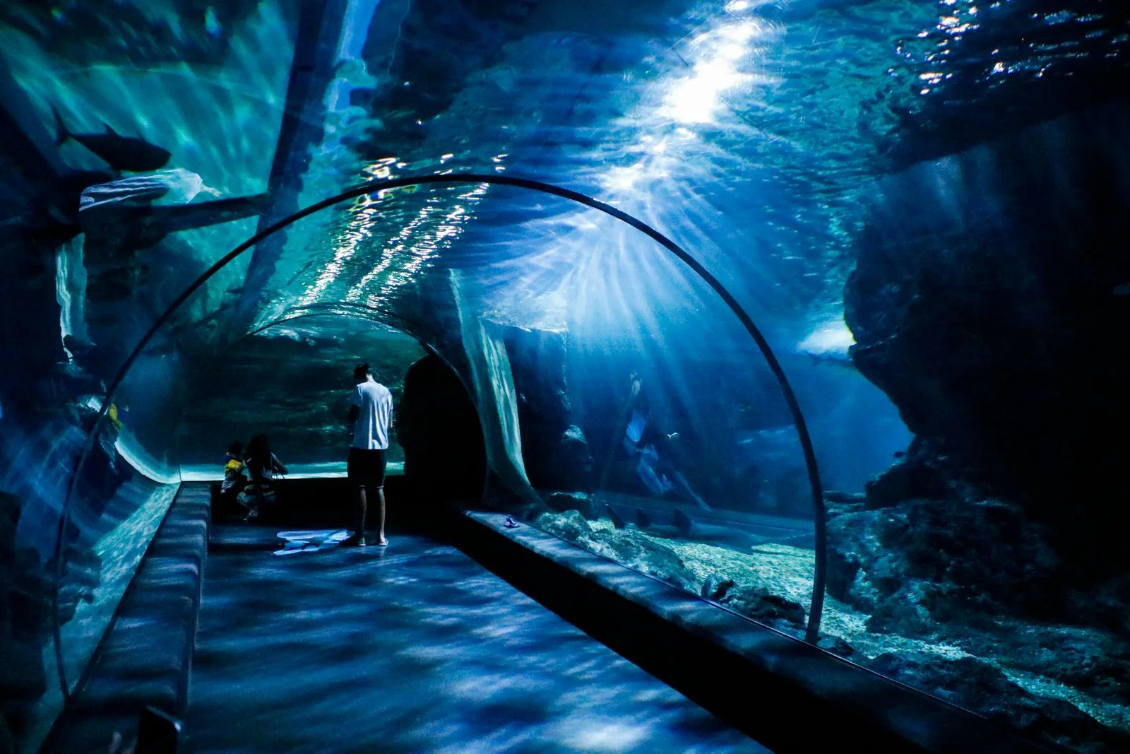 Aquarium de La Rochelle : avis, tarifs 2026 et conseils de visite