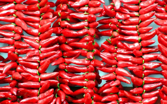 Que faire à Espelette : le village du piment basque