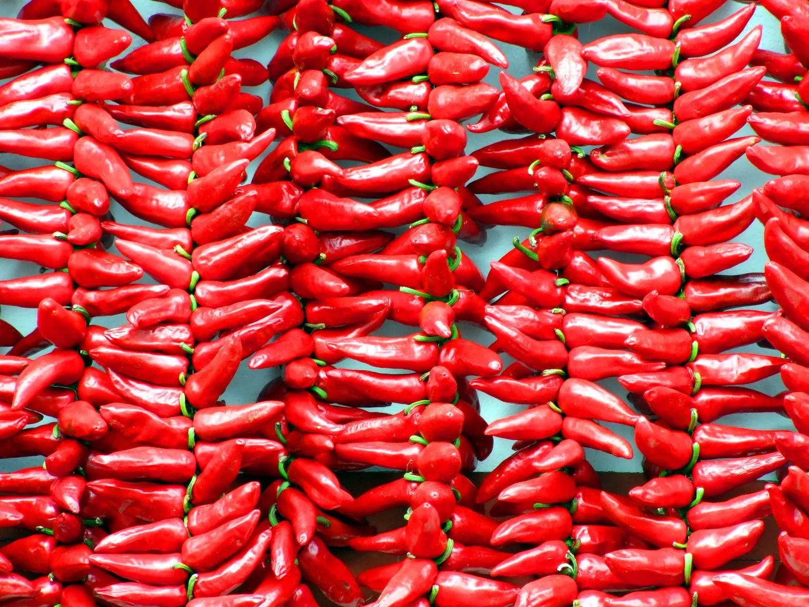 Que faire à Espelette : le village du piment basque