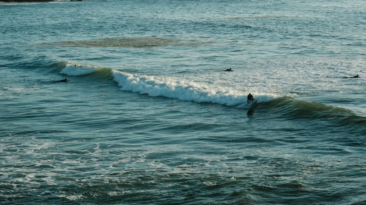 Surfeurs à l'eau sur un spot de la côte basque