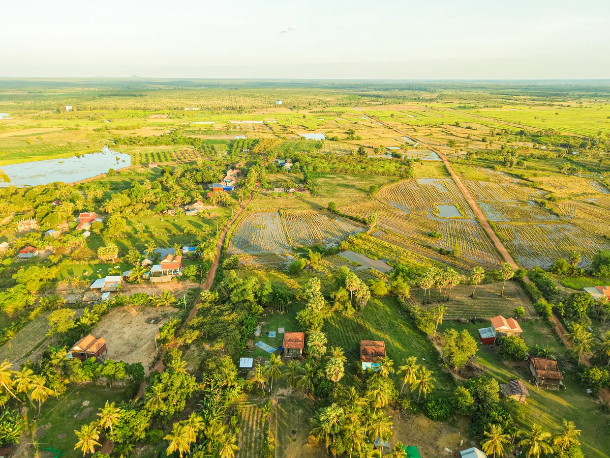 La campagne cambodgienne et ses rizières