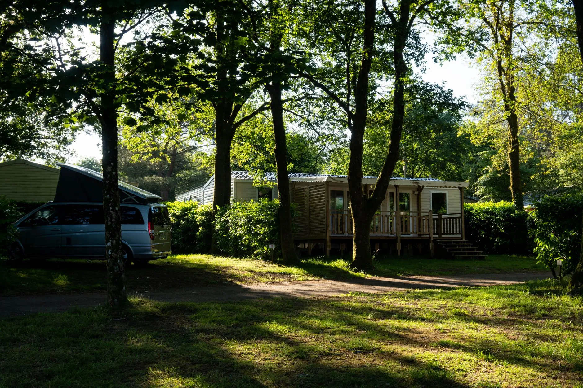 Mobil-home installé au milieu des arbres dans un camping boisé
