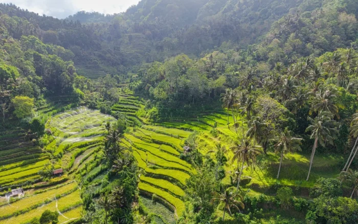 Digital nomad à Bali : coût de la vie, coworking et quartiers