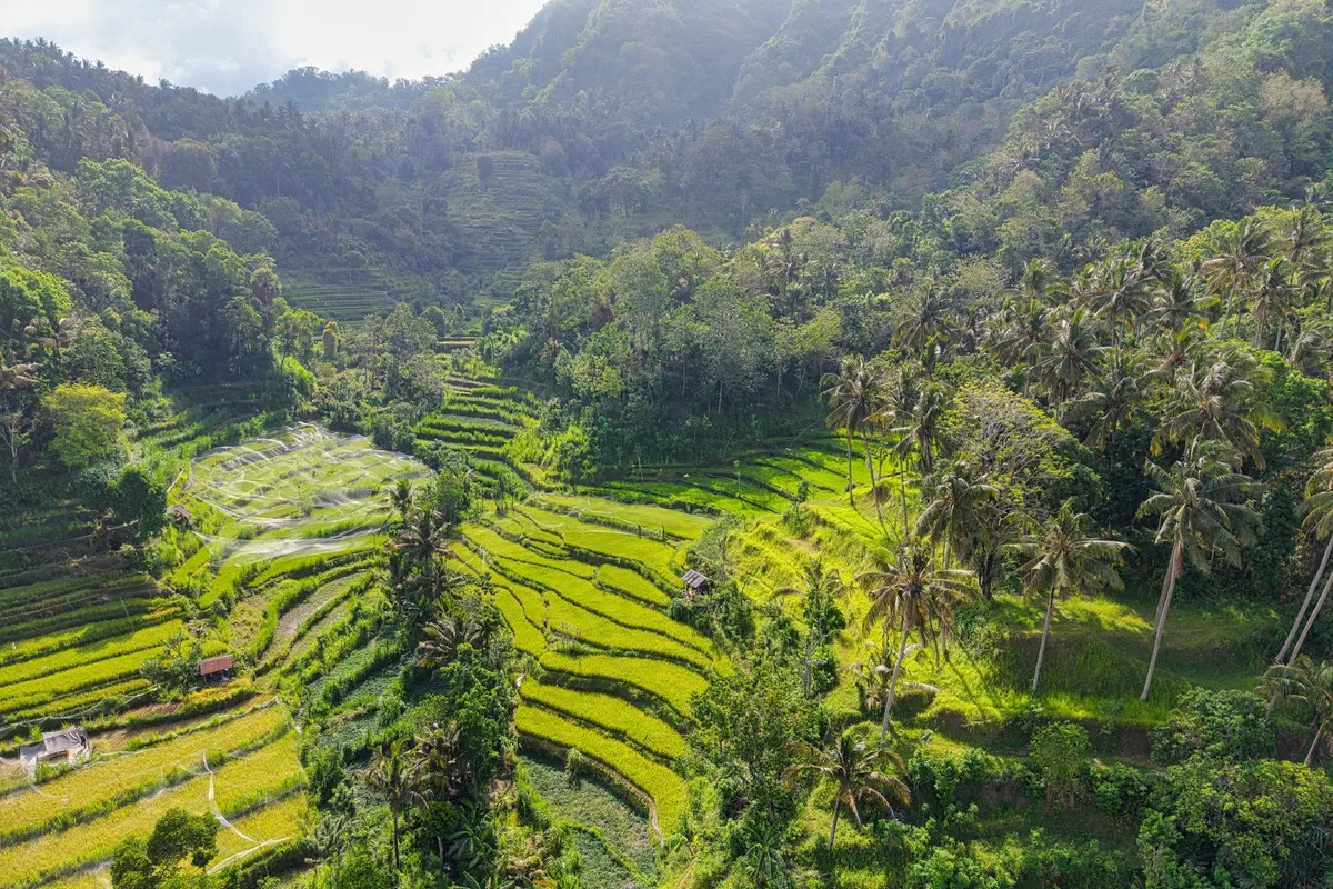 Digital nomad à Bali : coût de la vie, coworking et quartiers