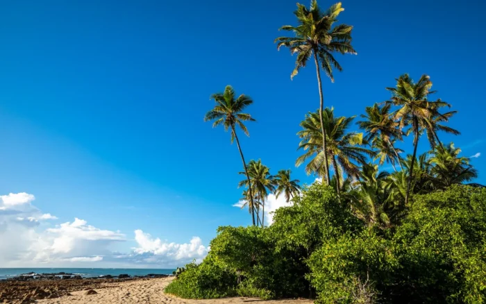 Où partir au soleil en hiver : du plus proche au plus lointain