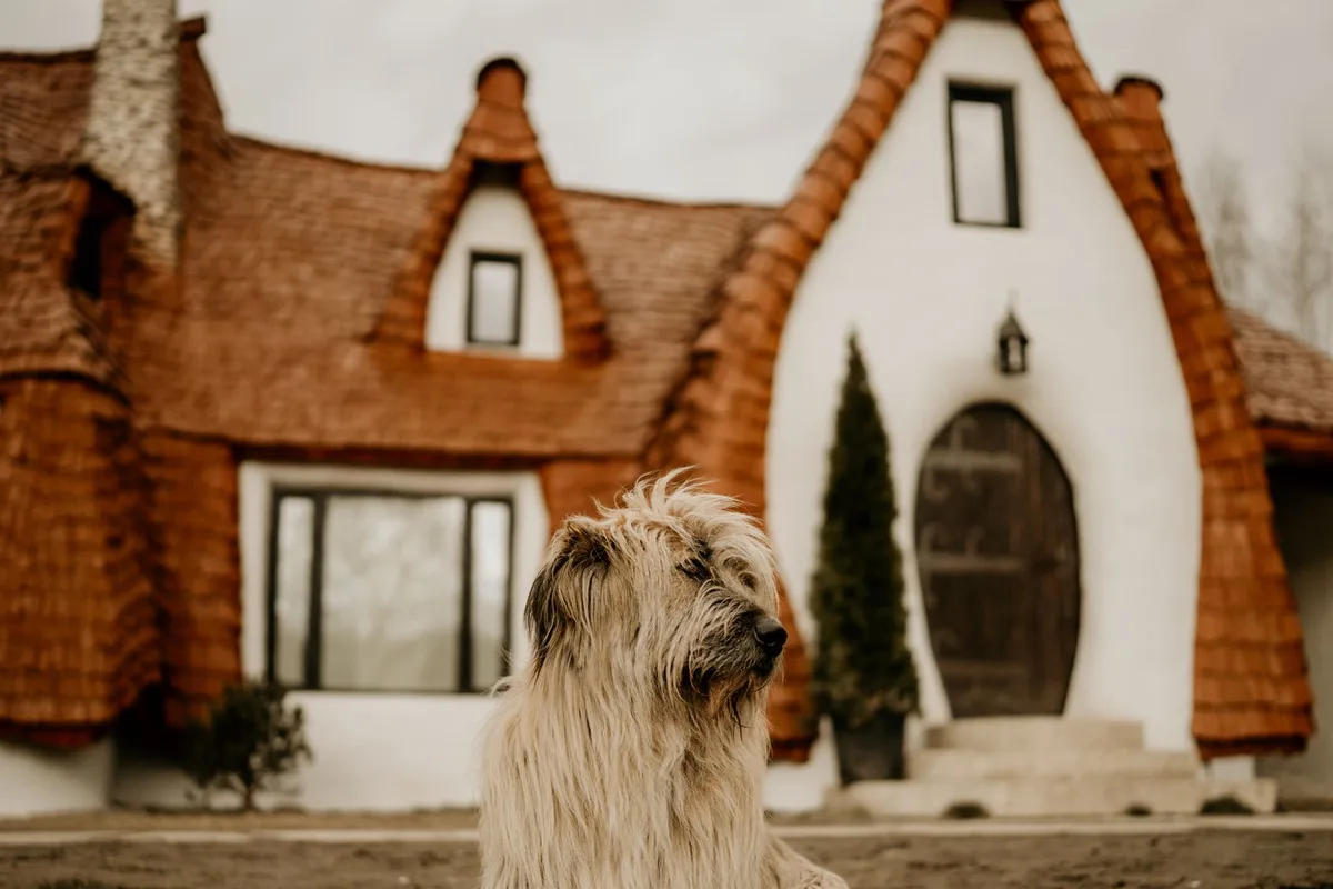 House-sitting et gardiennage : voyager en gardant maison et animaux