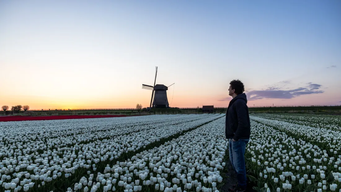 Le moulin du Keukenhof
