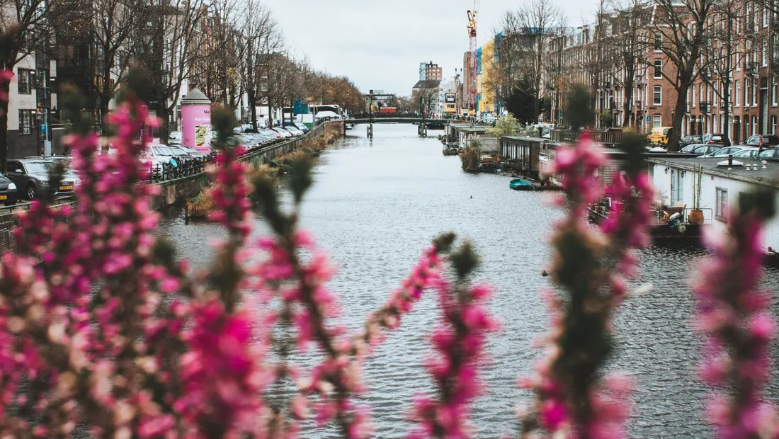 Canaux et tulipes aux Pays-Bas