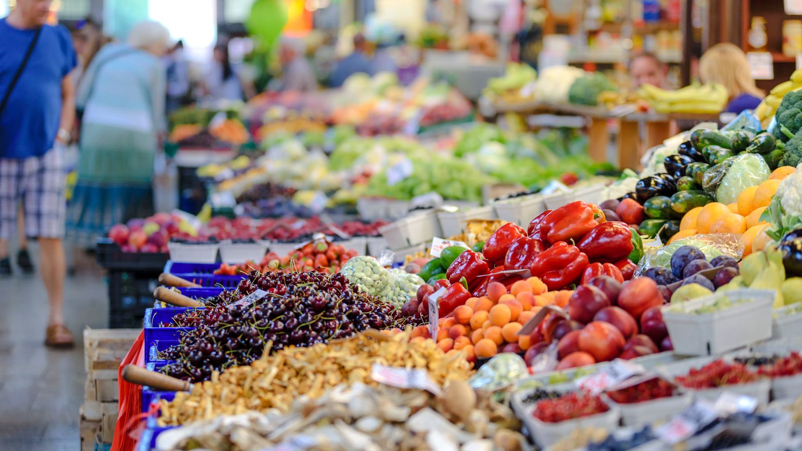 Bien manger en vacances : spécialités locales et équilibre