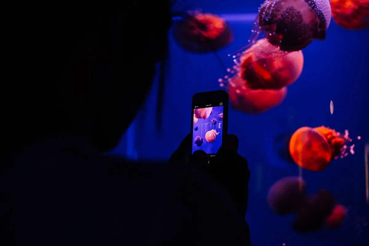 Visiteuse observant des poissons derrière la vitre éclairée d'un grand bassin d'aquarium