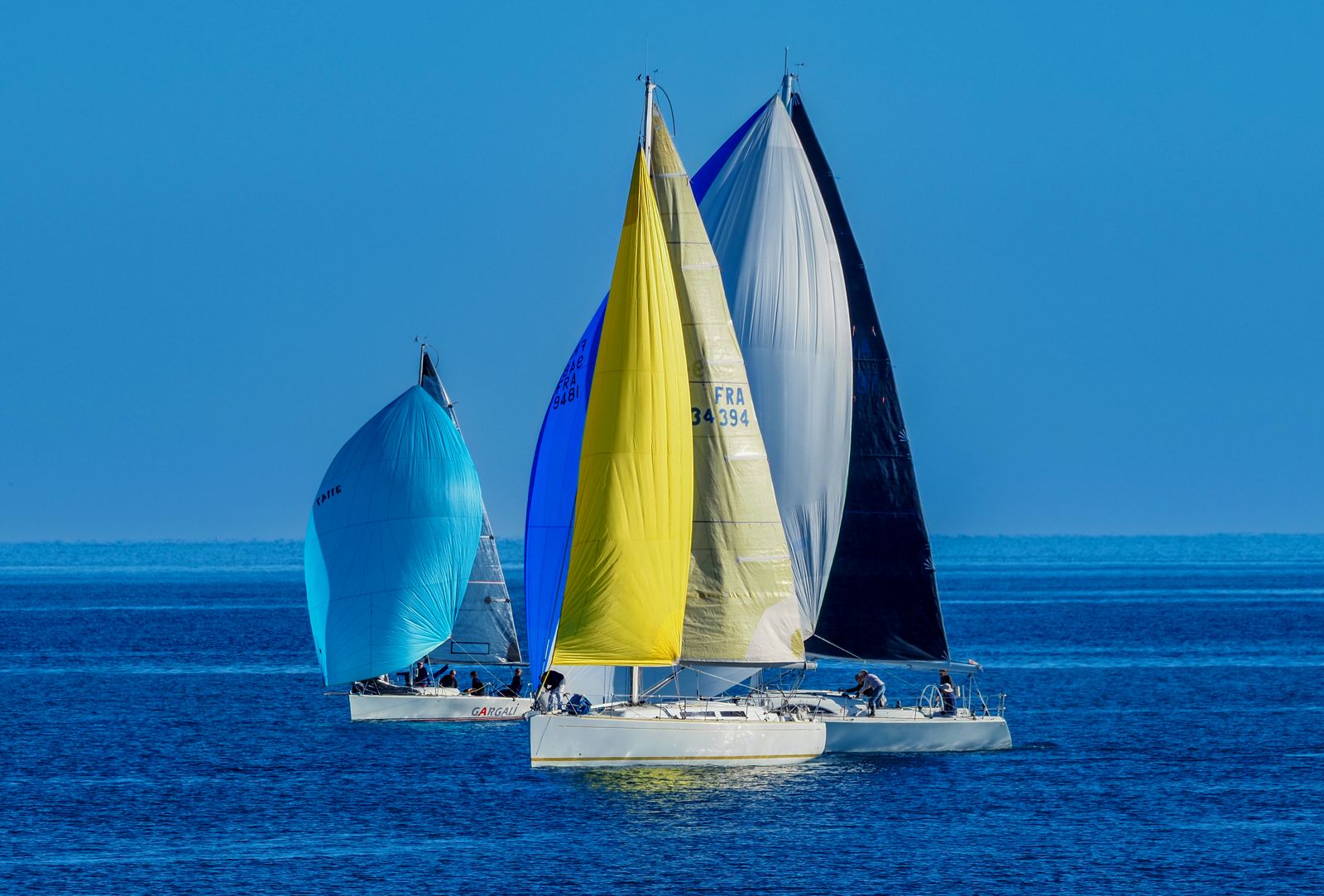 Voiliers de course aux spinnakers colorés s'élançant vers l'Atlantique