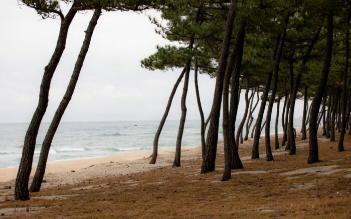 Camping dans les Landes : le guide pour choisir parmi les 139 campings classés