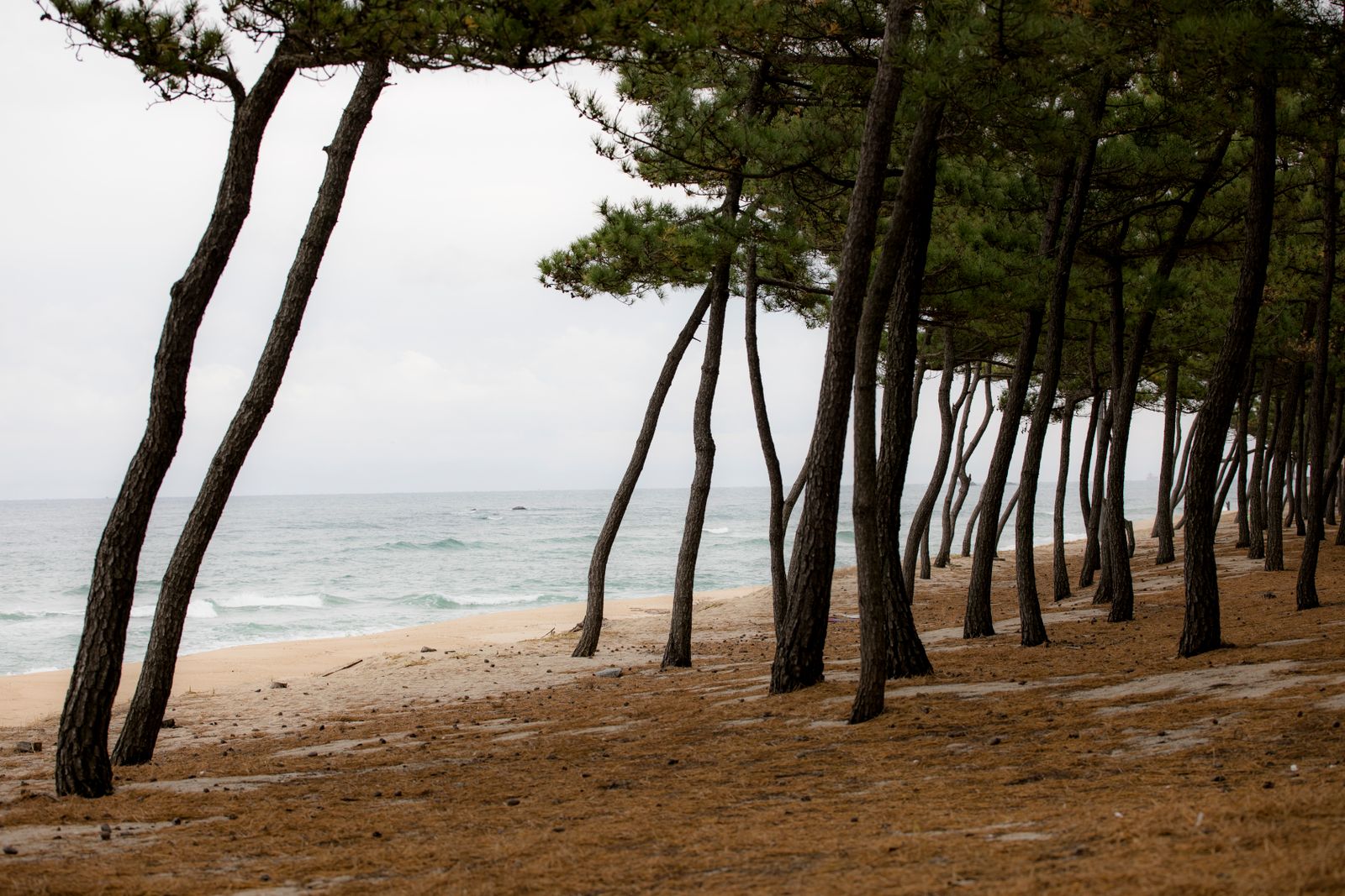 Camping dans les Landes : le guide pour choisir parmi les 139 campings classés
