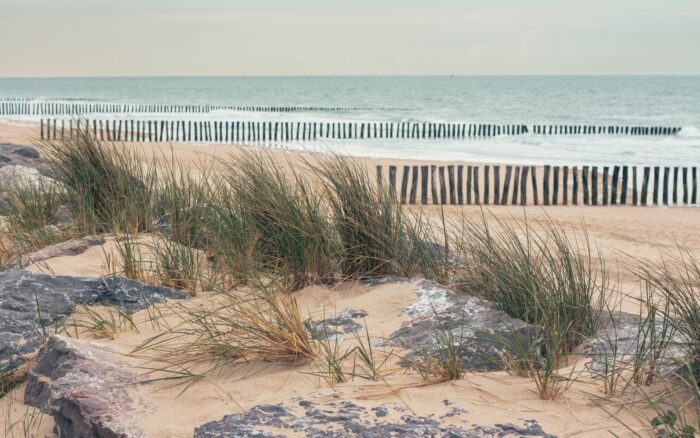 Camping en Vendée : le guide pour choisir parmi les 306 campings classés