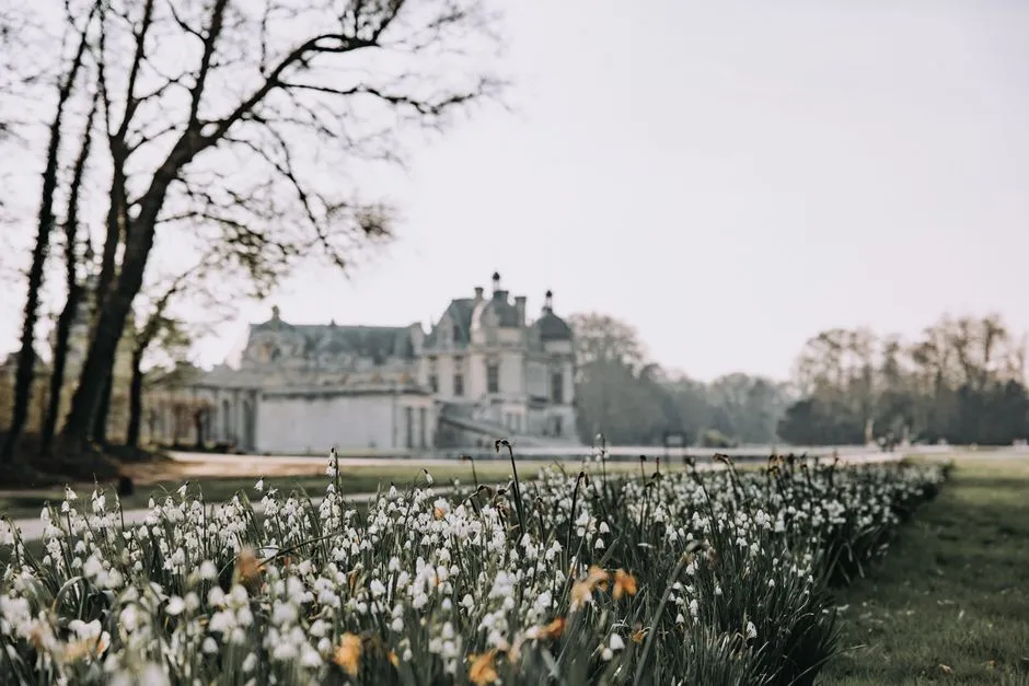 Les plus beaux jardins de France à visiter