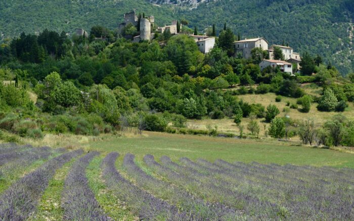 Incendies dans le sud de la France : le guide complet pour voyager en sécurité (et responsable) cet été