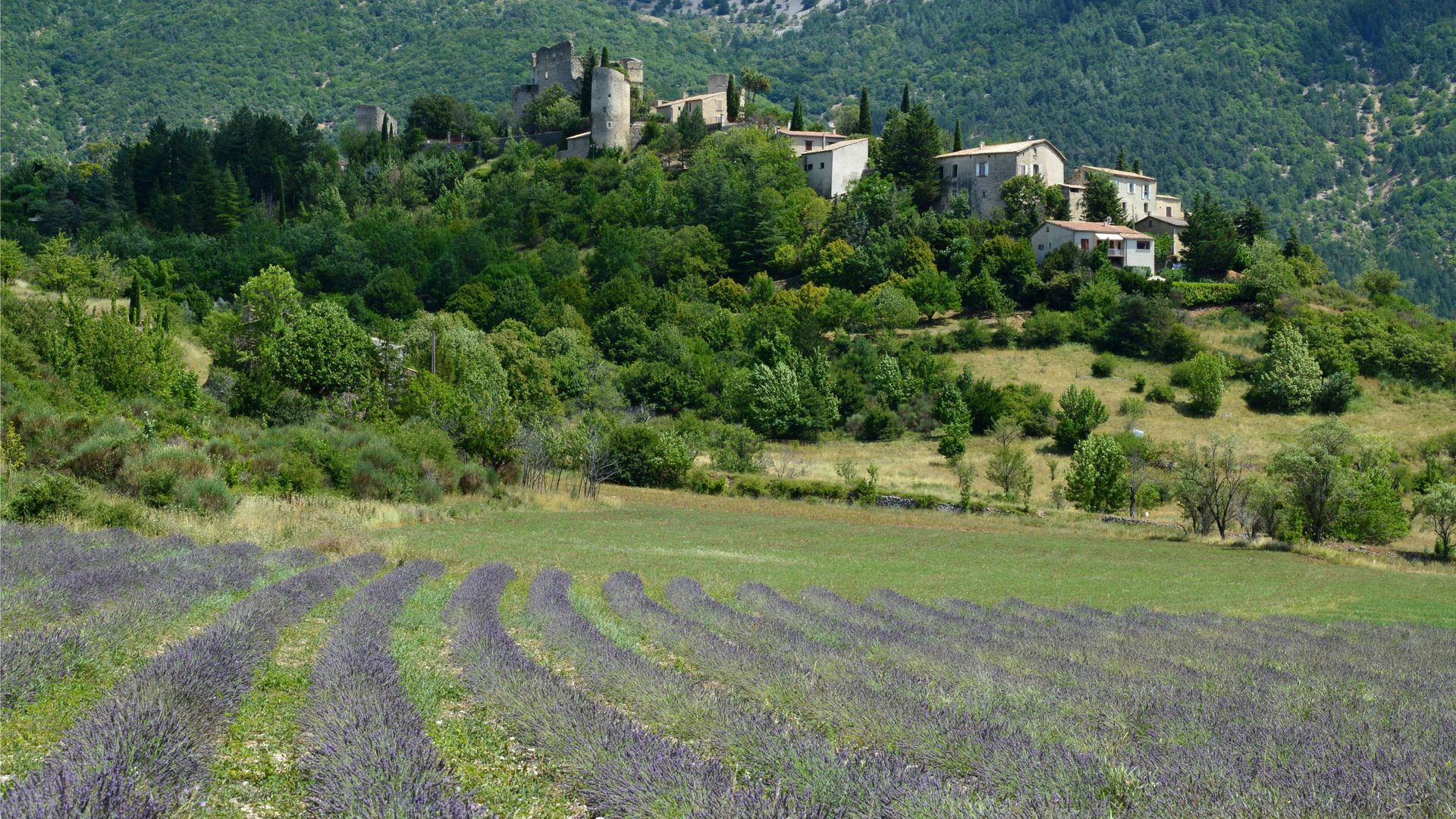 Incendies dans le sud de la France : le guide complet pour voyager en sécurité (et responsable) cet été