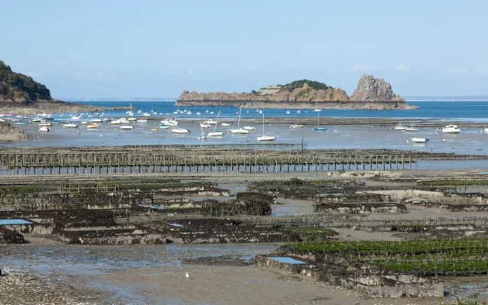 Que faire à Cancale : huîtres, port et pointe du Grouin
