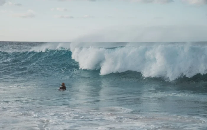 Surf à Biarritz : spots, écoles et conseils pour débuter