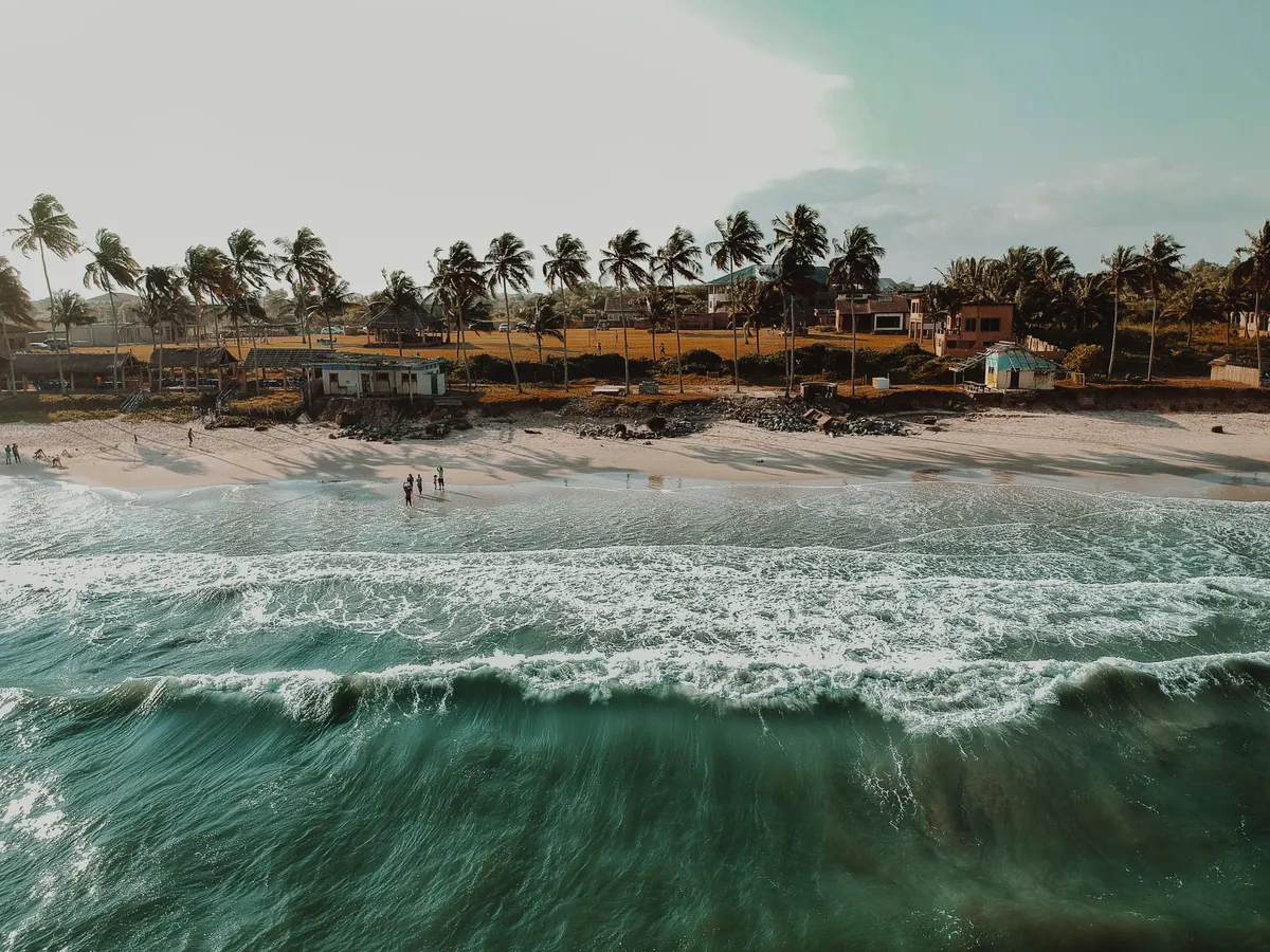 Littoral bordé de cocotiers en Afrique de l'Ouest