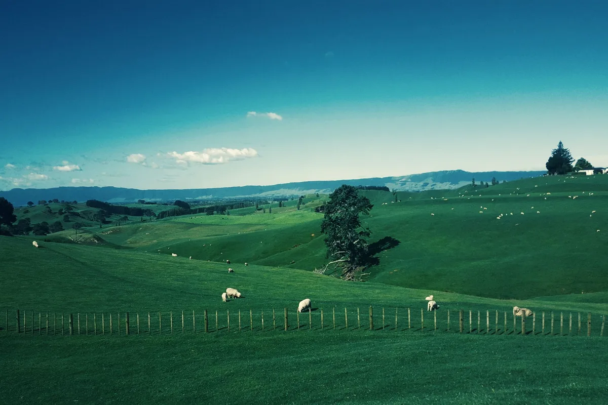 Visiter Hobbiton : le guide du décor de la Comté