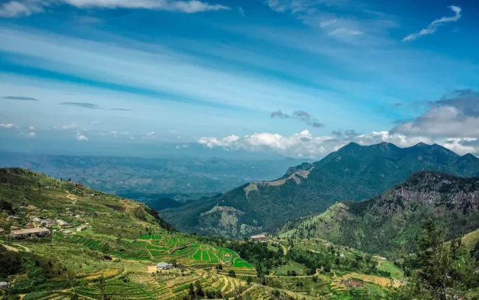 Voyage humanitaire au Sri Lanka : missions et vigilance