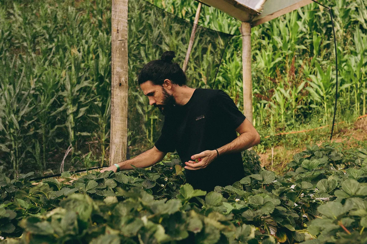 Aide agricole en échange du gîte et du couvert