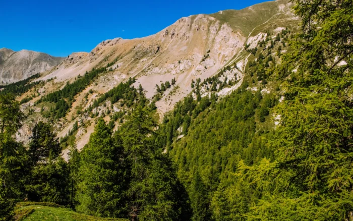 Randonnee dans les monts de la Madeleine et le Roannais
