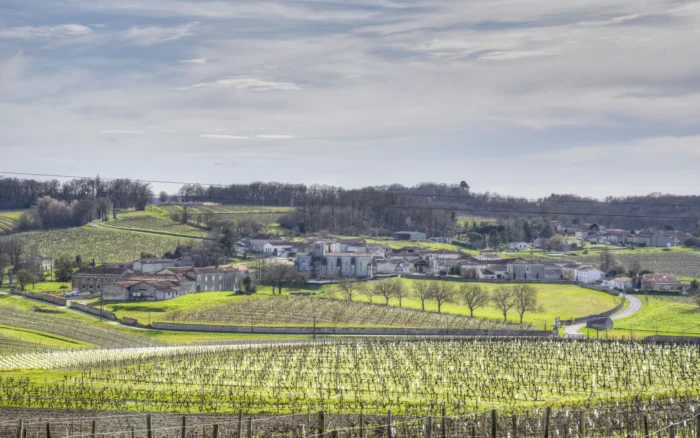 Vignoble de Gaillac : cépages, dégustations et œnotourisme dans le Tarn