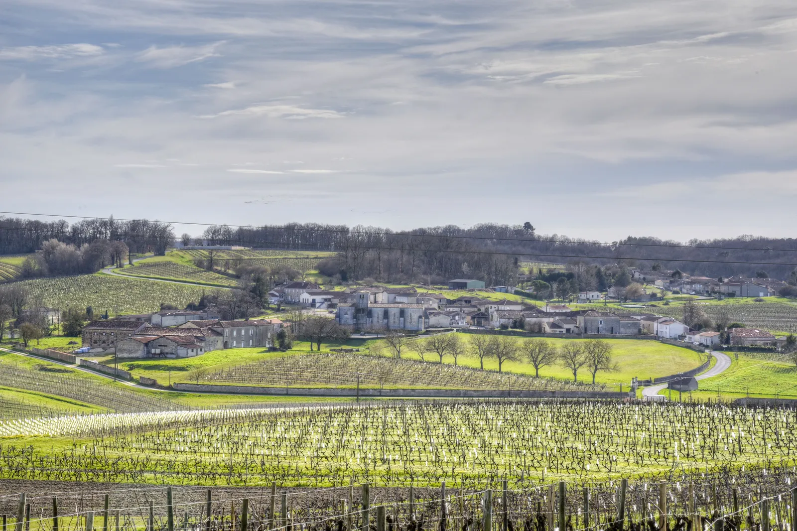 Vignoble de Gaillac : cépages, dégustations et œnotourisme dans le Tarn