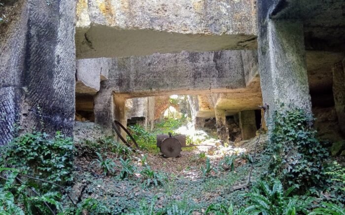 Les carrières de Crazannes : deux mille ans d&rsquo;extraction, un canyon vert et une autoroute