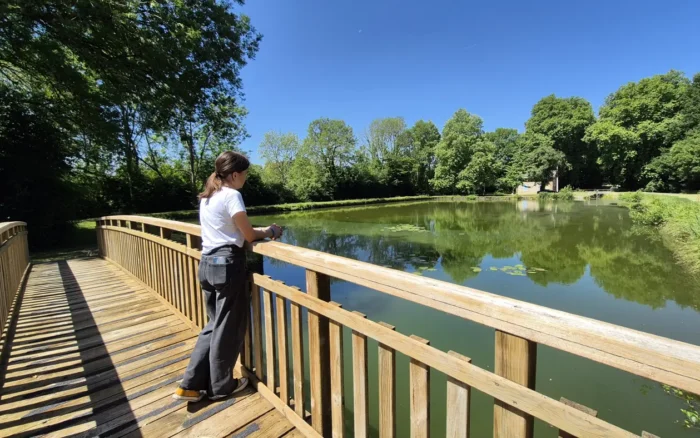 Le canal de la Sauldre, ou l&rsquo;art de ne mener nulle part