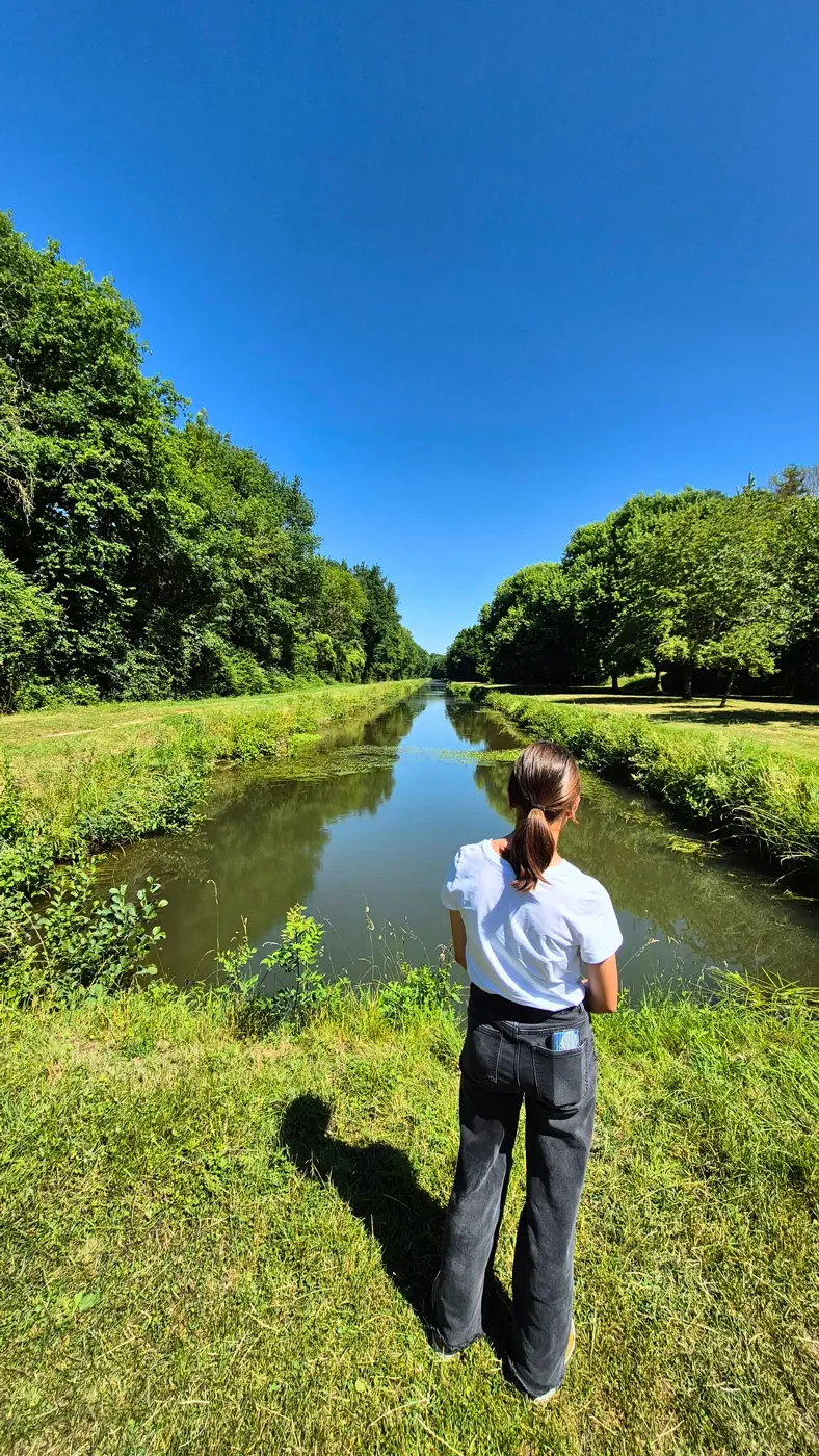 Le canal de la Sauldre et son chemin de halage