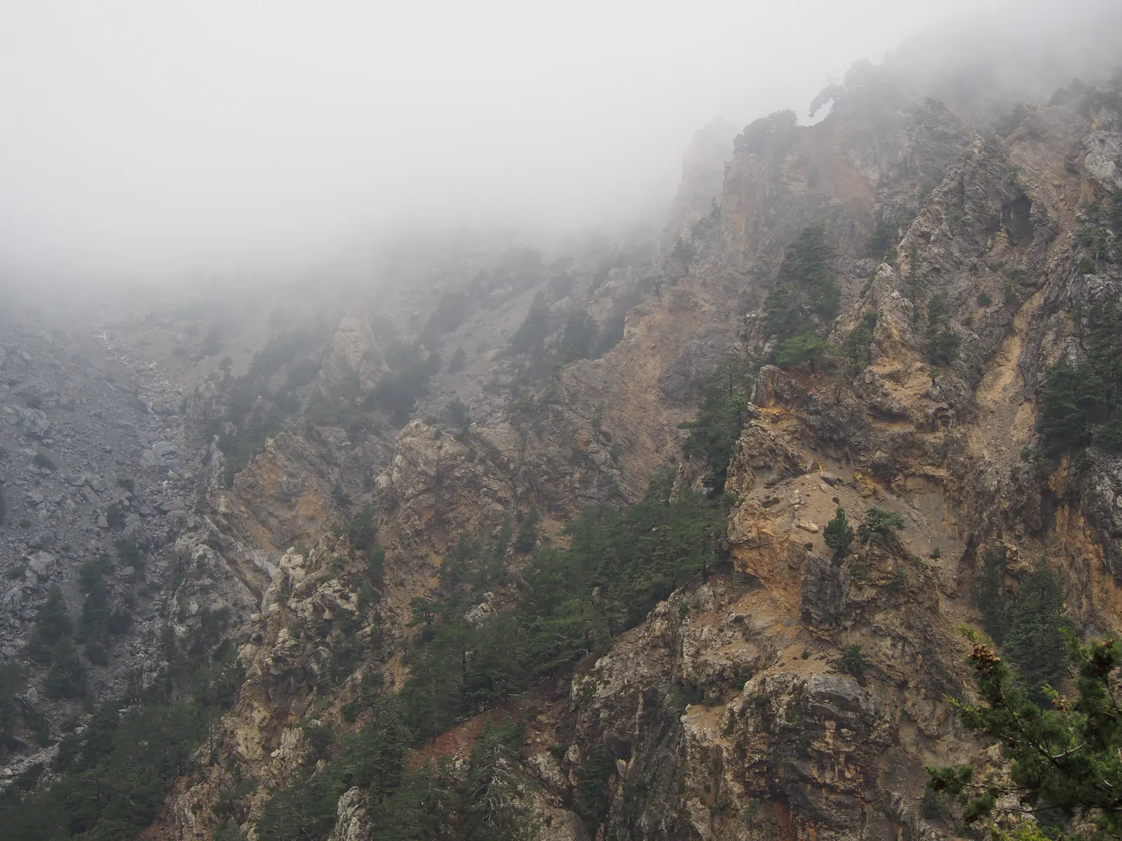 Les parois rocheuses boisées des gorges de Samaria dans la brume, vues depuis Xyloskalo
