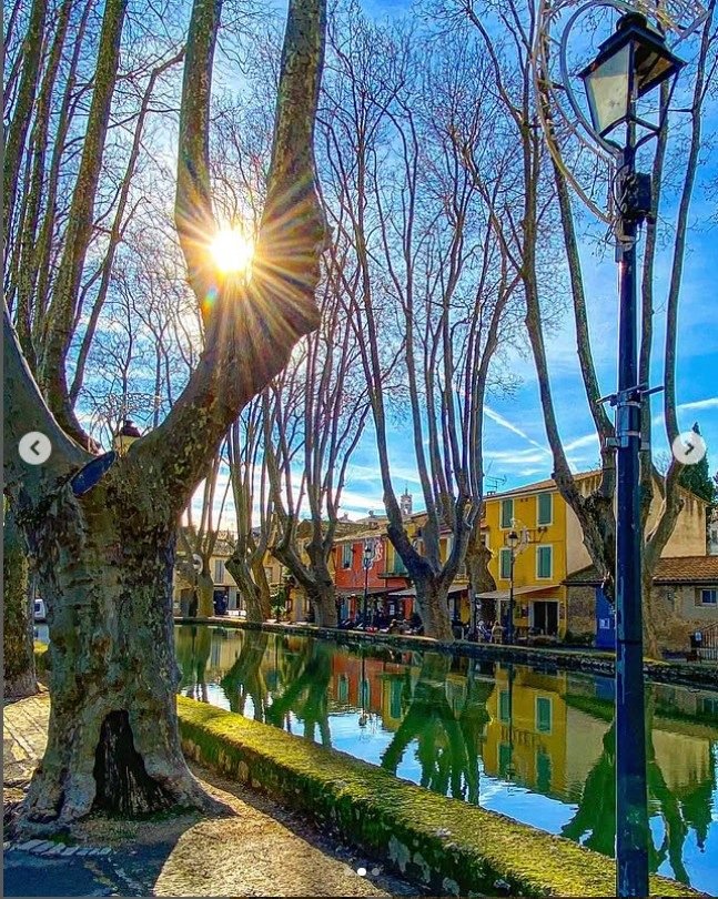 Le bassin bordé de platanes de Cucuron