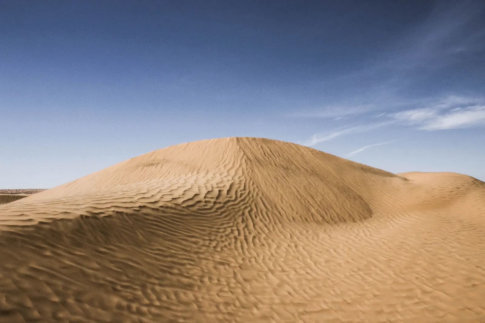 Dune de sable ridée par le vent sous un ciel bleu, près de l'oasis de Ksar Ghilane, dans le sud tunisien