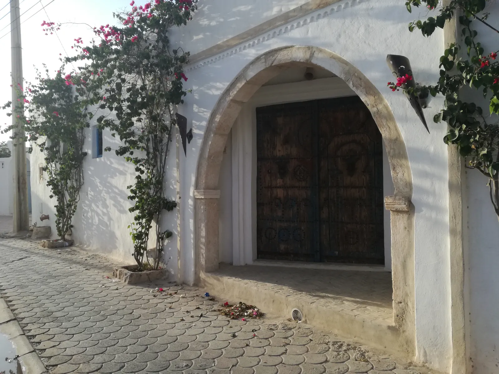 Ruelle blanchie à la chaux d'Erriadh, à Djerba, avec une porte en bois sous un arc et des bougainvilliers
