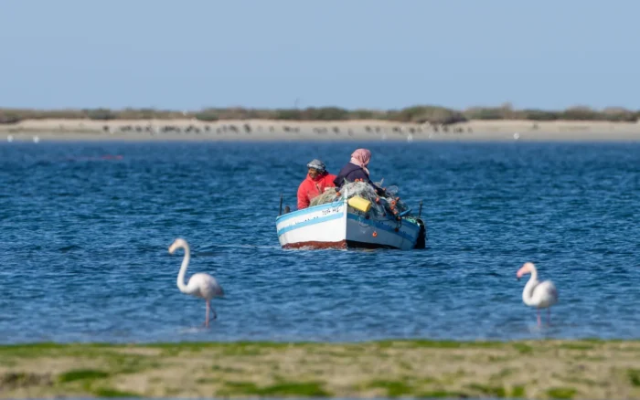 Djerba en décembre : météo réelle, mer, visites et budget pour un hiver doux