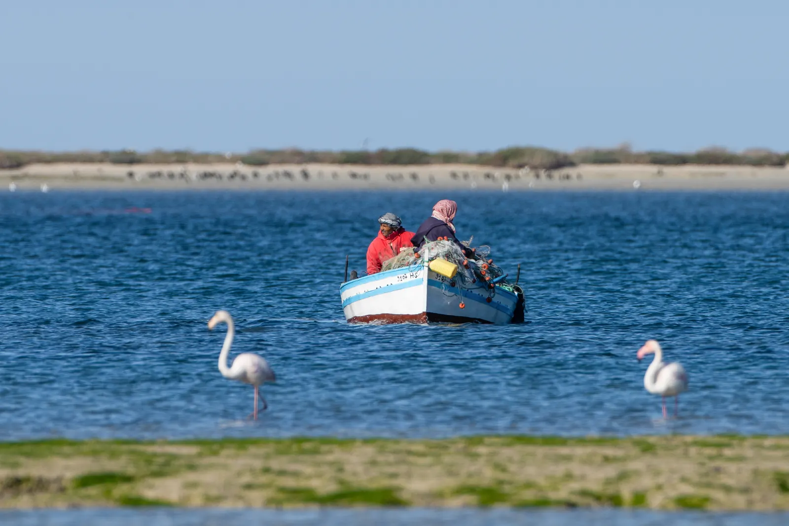 Djerba en décembre : météo réelle, mer, visites et budget pour un hiver doux